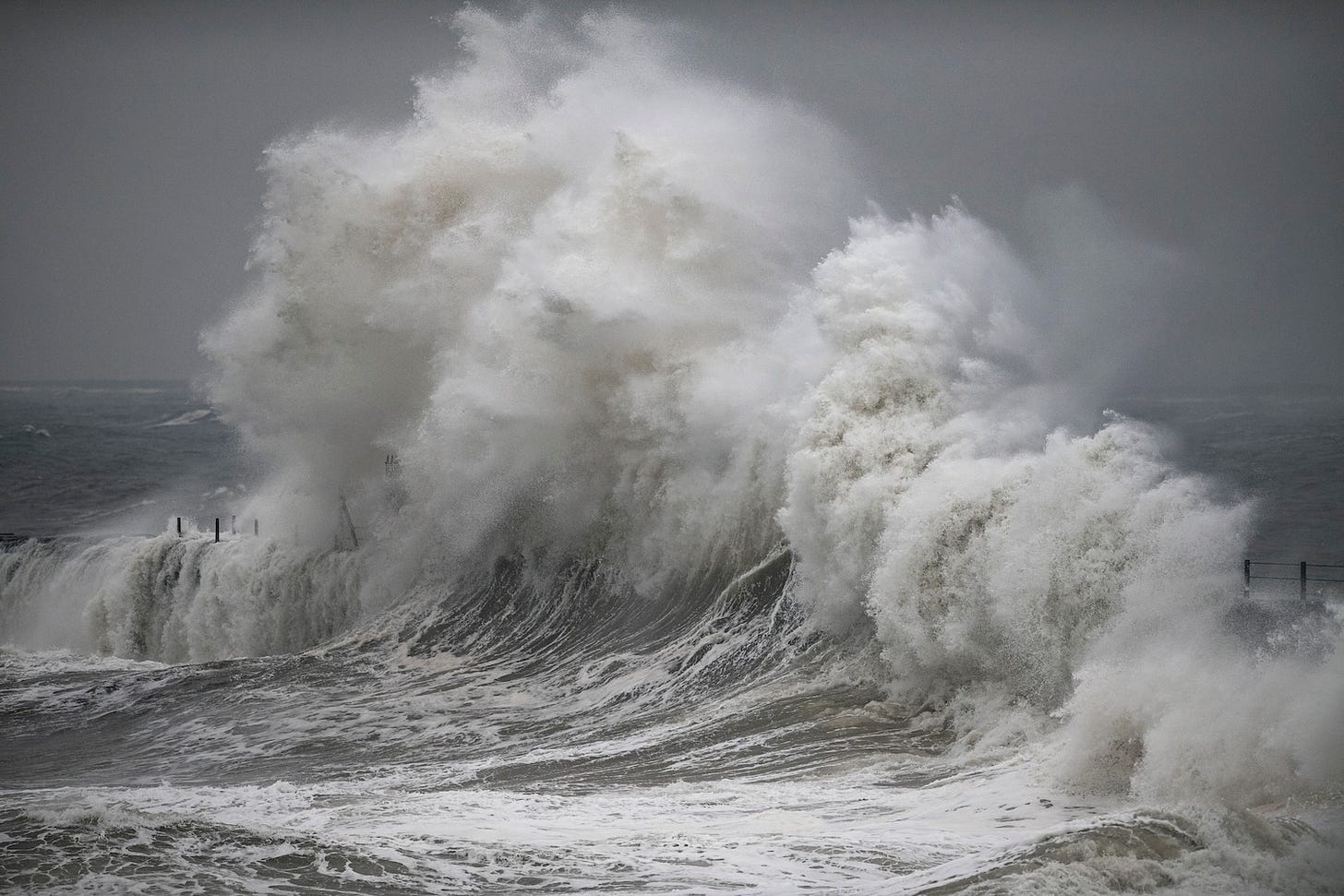 Image: JordanCrosby / shutterstock.com