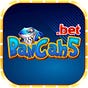 Bancah5bet's avatar