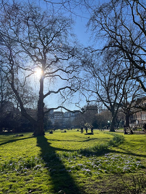 London park walks in foggy and sunny days