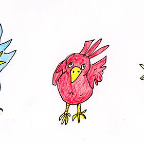 The Bird Hours