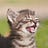 User's avatar