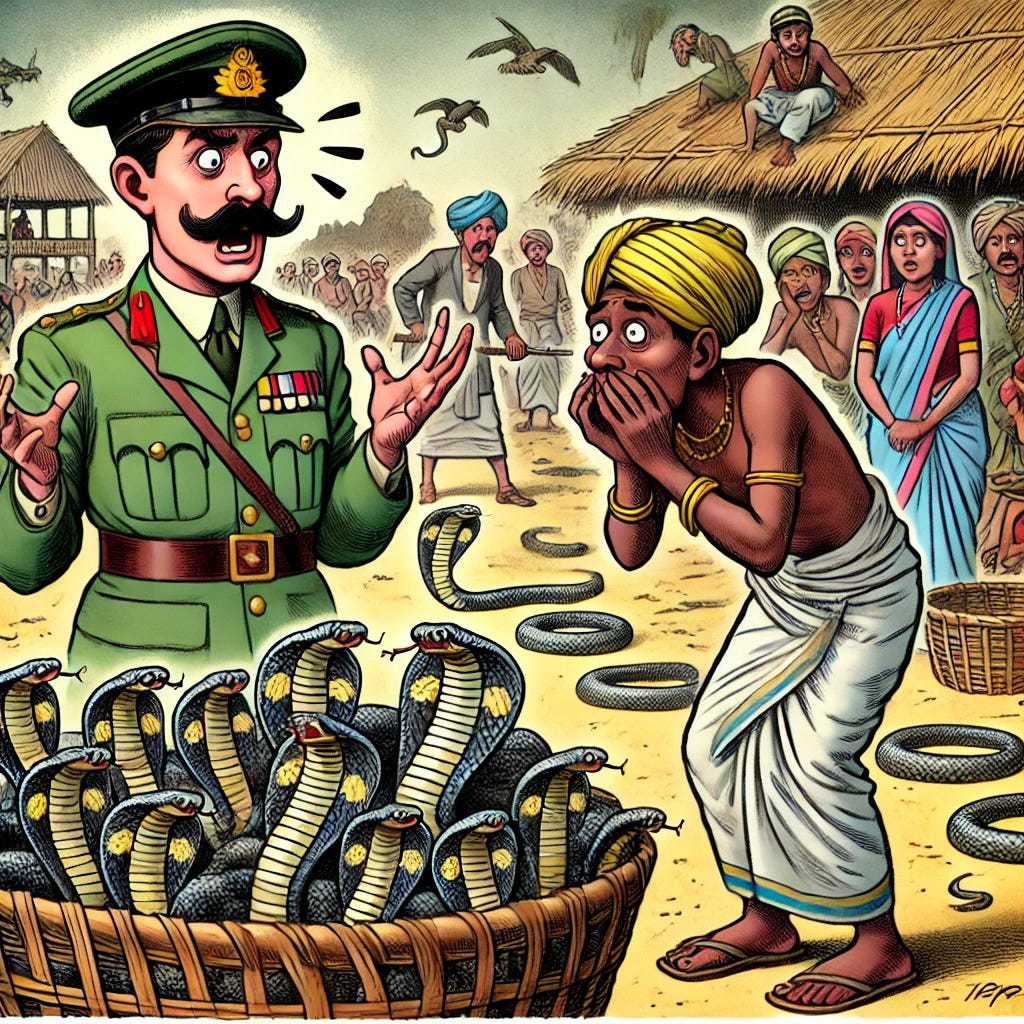 A satirical cartoon illustration of the Cobra Effect. The image shows a British colonial officer in early 1900s India, looking shocked as an Indian villager dumps a basket full of cobras in front of him. Behind the villager, a farm is filled with countless breeding cobras. In the background, more villagers are seen raising cobras in cages, while others sneak away releasing them into the streets. The scene is exaggerated and humorous, with expressive characters and a colorful, detailed setting.