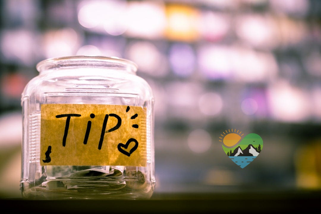 Tip Incomparable The Tip That Followed Me Home - by Wilko van de Kamp