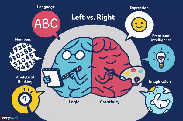 A picture of the left and right brain