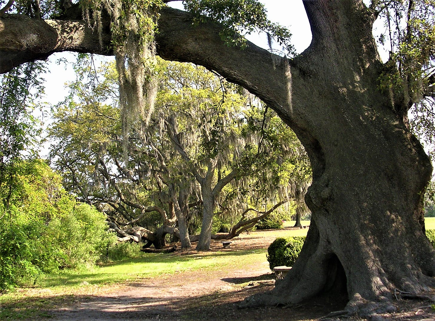 boone hall