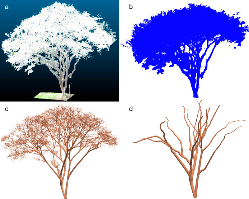 Sequência mostrando árvore escaneada com laser, isolada no computador, modelos 3-D do tronco e dos galhos e modelo corrigido Sequência mostrando árvore escaneada com laser, isolada no computador, modelos 3-D do tronco e dos galhos e modelo corrigido