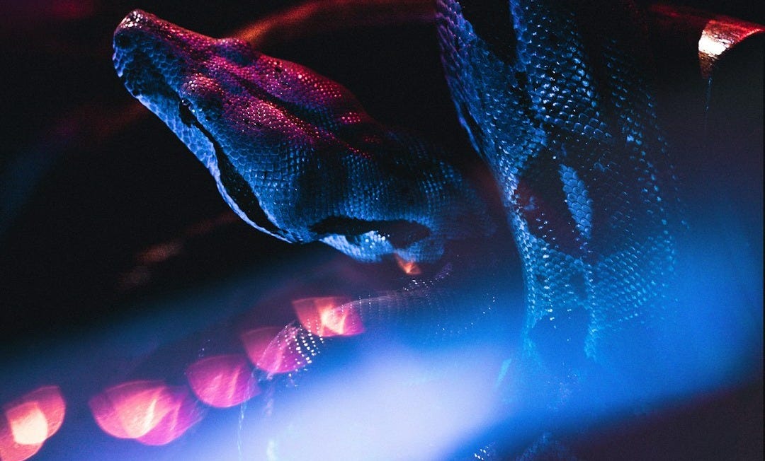 purple and blue lights with red and blue lights