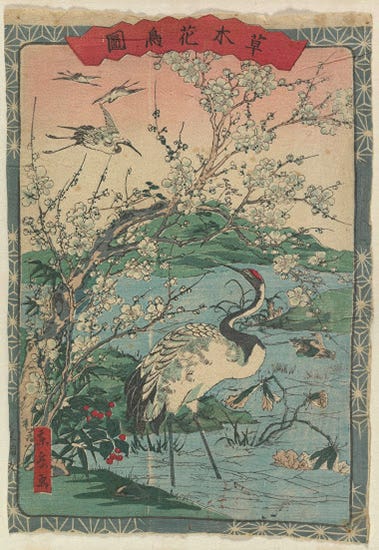 Cranes and Cherry Blossoms from the series Illustrations of Plants ,Trees, Flowers and Birds by Togaku