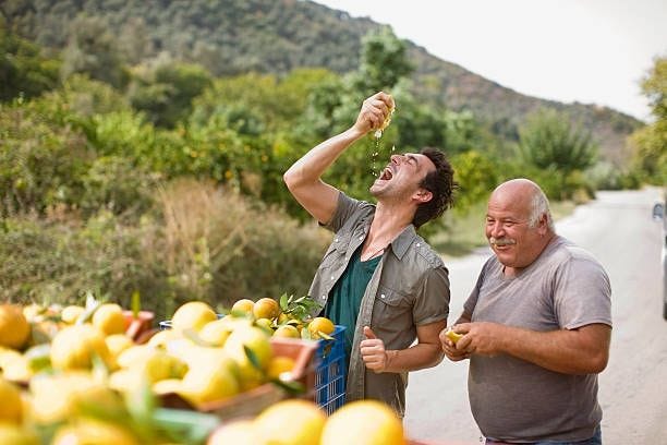 men squashing oranges - orange farm stock pictures, royalty-free photos & images