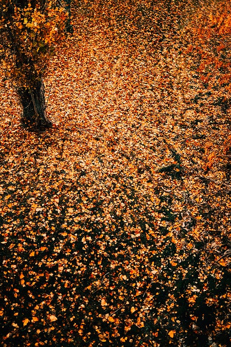 Tyler Knott Gregson Fuji photographs of life in Helena, MT