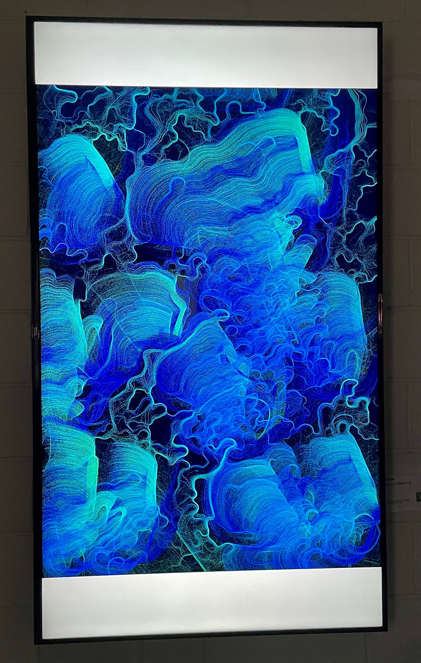 Bloom by William Watkins