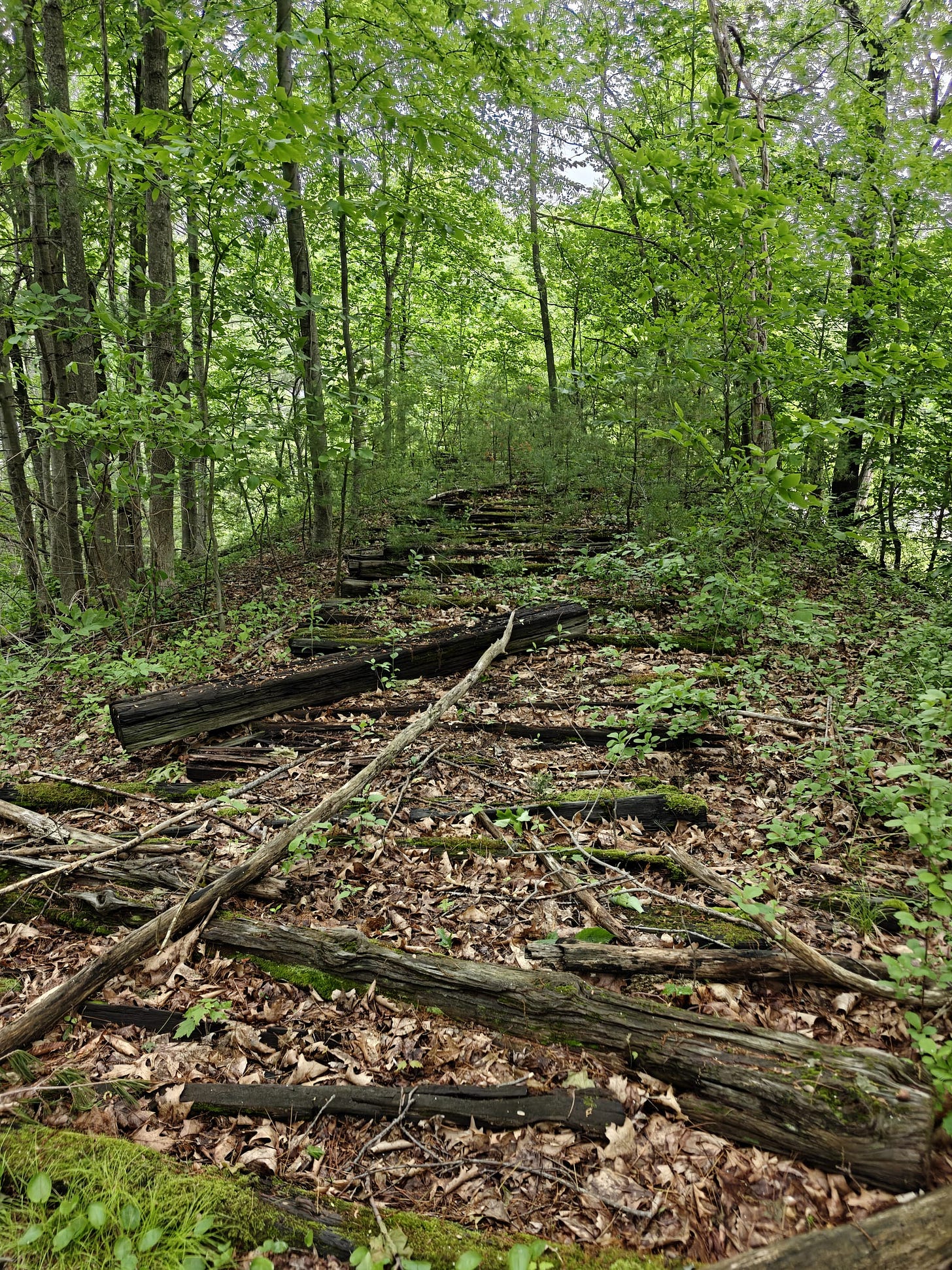 A Trek Along the Cocheco Railroad
