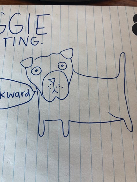 doodle of a dog