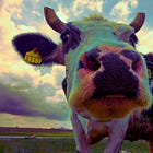 China Conducts mRNA Influenza Bird Flu Vaccine Trials in Dairy Cows: Journal 'Research'