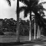 Miami History