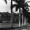 Miami History