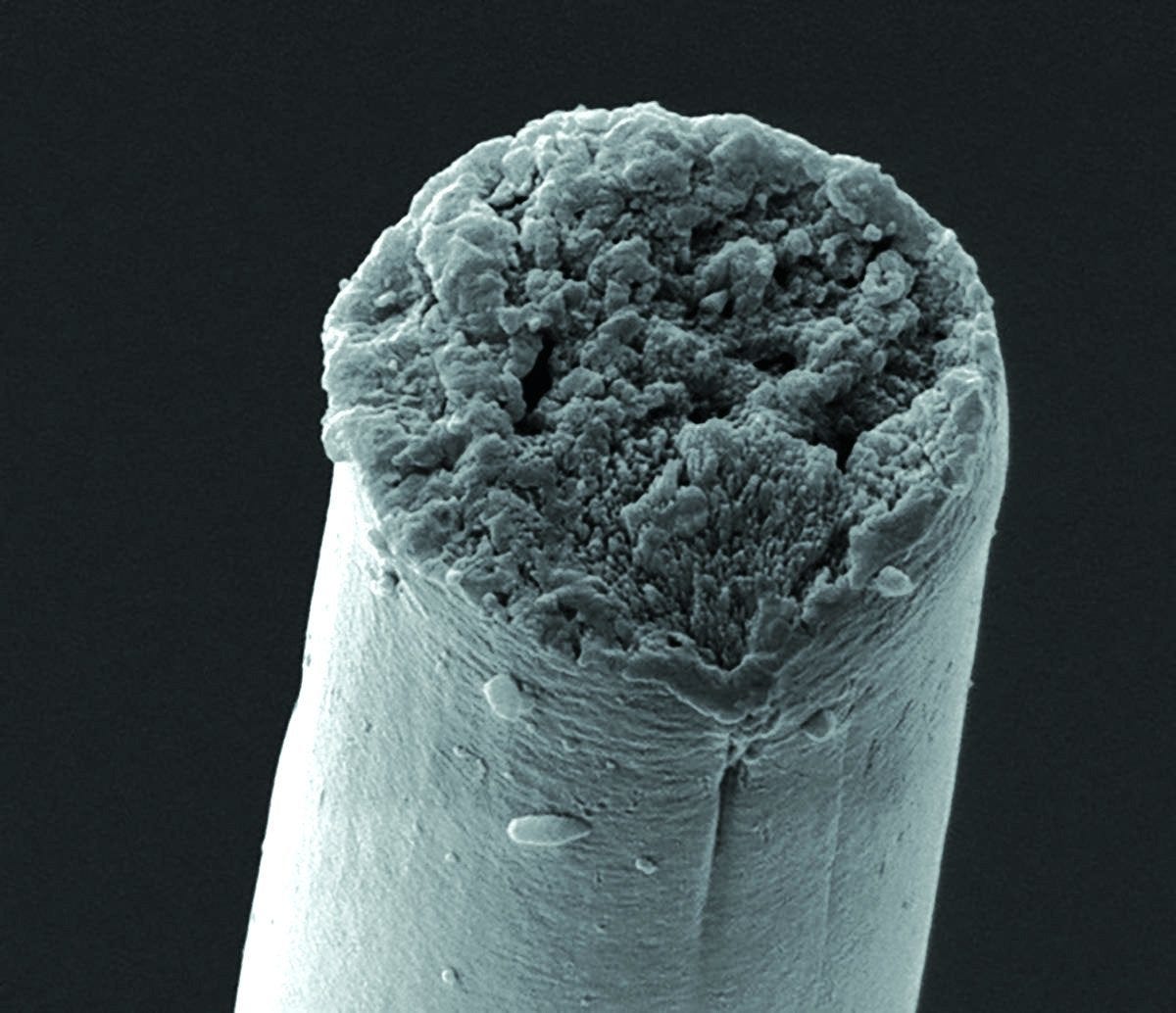 Creating Synthetic Silk from Microbes - Scientific American Creating Synthetic Silk from Microbes - Scientific American
