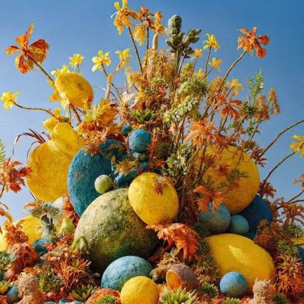A group of colorful plants and flowers

AI-generated content may be incorrect.