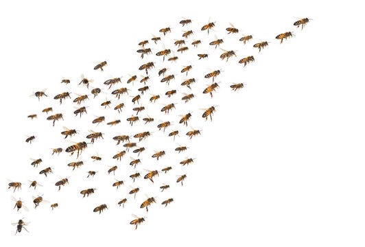 Bee Swarm Images – Browse 102,928 Stock Photos, Vectors, and Video | Adobe  Stock