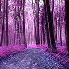 🪽✨The Silent Dialogue: A Message of Unconditional Love and Limitless Expansion