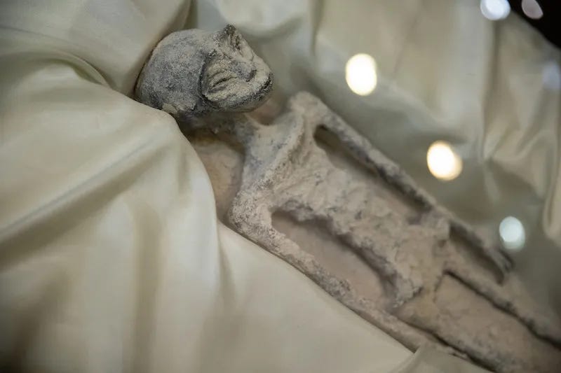 a very small, white, human-like body with long limbs and elongated facial features on a cushion a very small, white, human-like body with long limbs and elongated facial features on a cushion