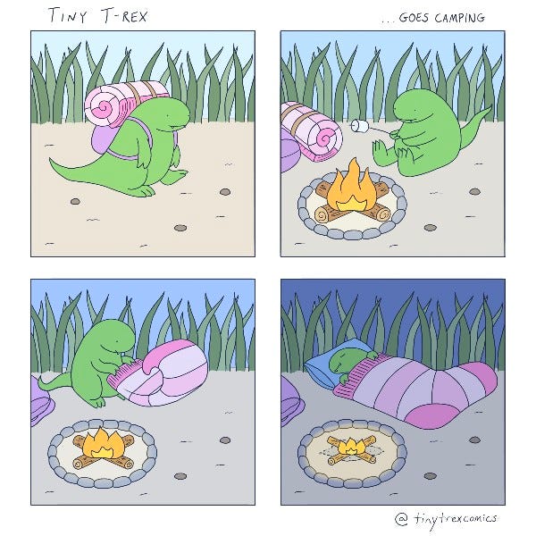 Tiny T-Rex walks up to a clearing in the woods wearing a purple striped backpack. It builds a small fire and roasts a marshmallow. It grows dark and Tiny T-Rex unfurls the sleeping bag and goes to sleep. It’s a giant purple striped sock.