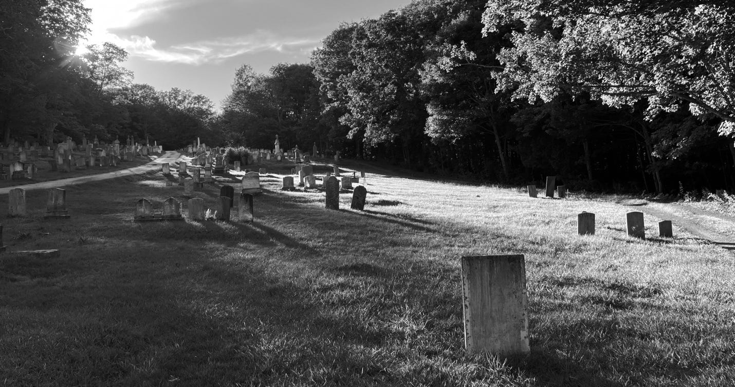 A cemetery with many headstones

AI-generated content may be incorrect.