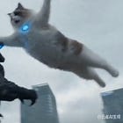 Hollywood vs. Seedance: The Wrong Fight