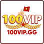 100vip's avatar