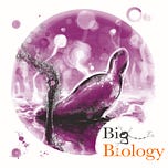 Big Biology