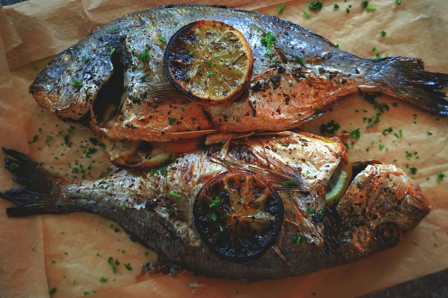 Photo by Antigoni Pavlaki (Pexels)