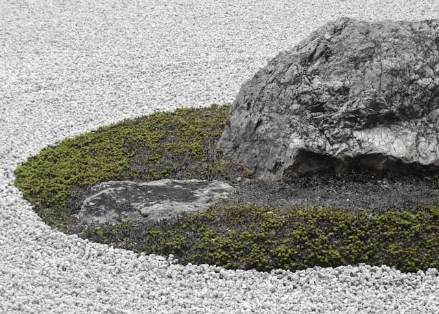 Photo: detail of a rock at the Zen garden at Ryoan-ji in Japan