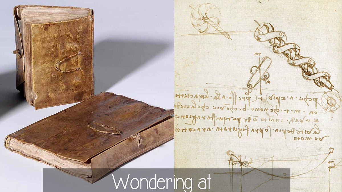 Wondering at Leonardo da Vinci's drawings