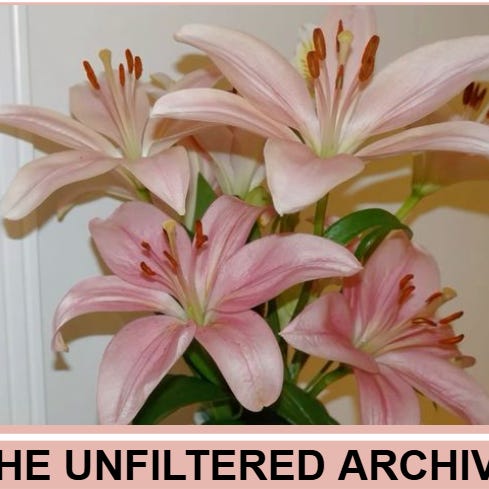 The Unfiltered Archive