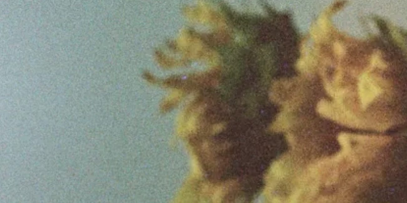 Posies For My Sweet No. 14