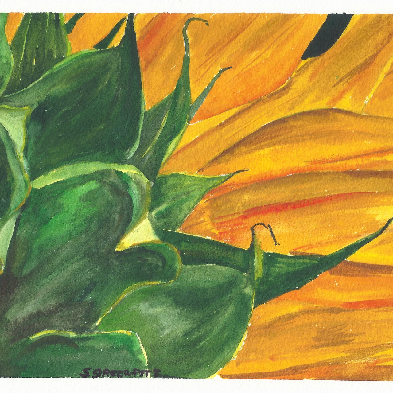 Reflections of a Sociologist