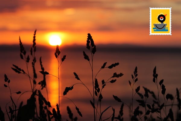 Evening Sunset | Free stock photos - Rgbstock - Free stock images |  nh313066 | December - 28 - 2014 (58)