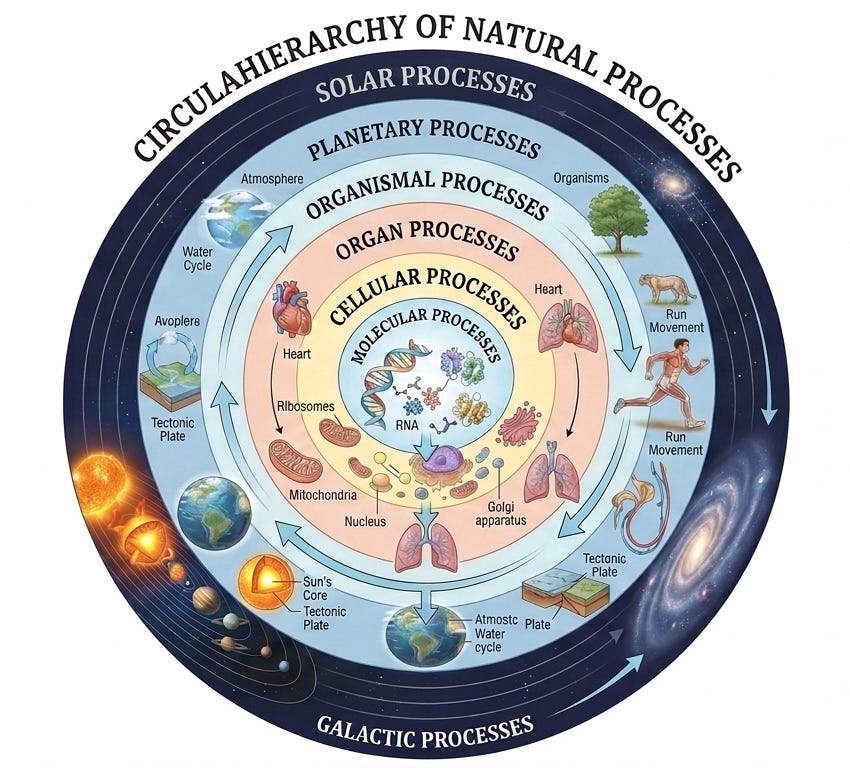 Circular diagram titled “Circular Hierarchy of Natural Processes” showing nested levels of organisation in nature. From the centre outward, the layers are molecular processes, cellular processes, organ processes, organismal processes, planetary processes, solar processes, and galactic processes. The inner layers depict DNA, RNA, ribosomes, mitochondria, the nucleus and other cellular structures; the middle layers show organs, organisms, Earth, atmospheric and water cycles, and tectonic processes; the outer layers depict the Solar System, the Sun, and a galactic cosmos. Large arrows circulate through the nested levels, illustrating reciprocal relationships between processes across scales.