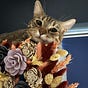 MaryMoonRay's avatar