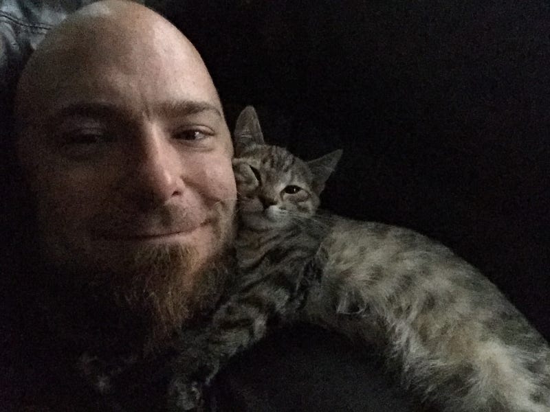 Things I Learned Trying to Treat My Cat’s Cancer