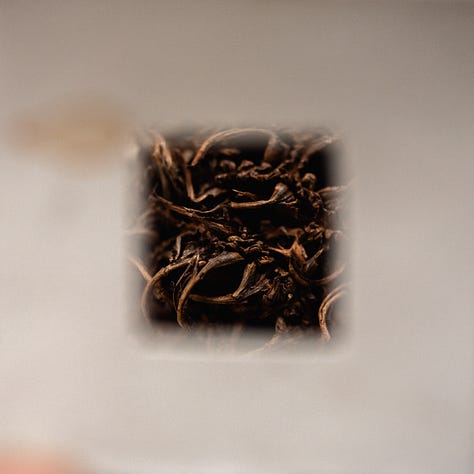 analogue zoom photography nature