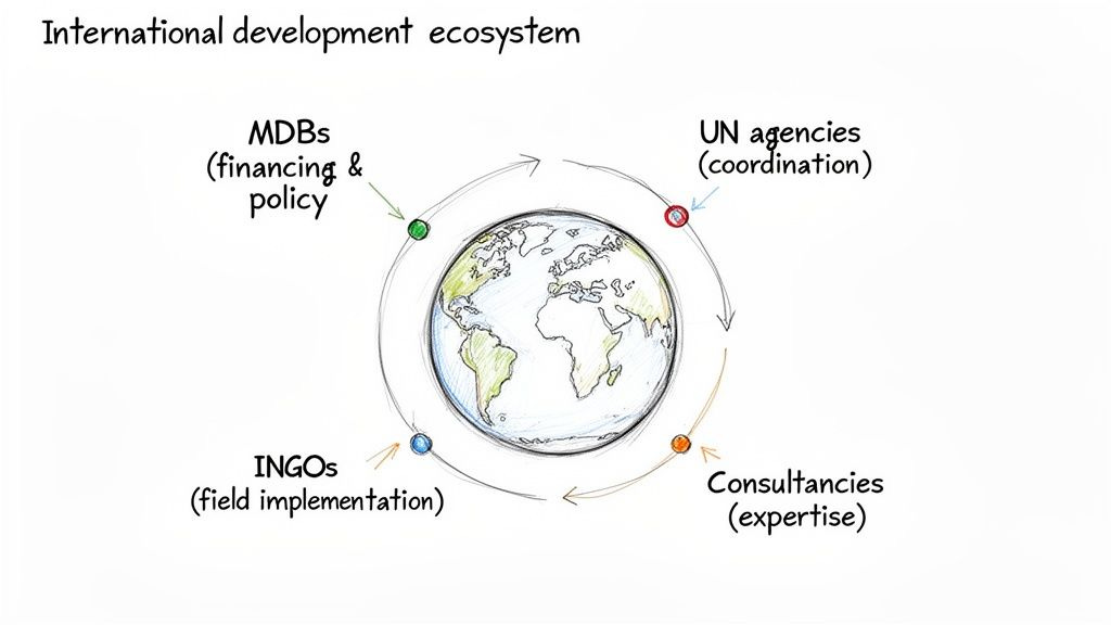 Diagram showing the international development ecosystem with the globe at the center, surrounded by MDBs, UN agencies, INGOs, and consultancies. Diagram showing the international development ecosystem with the globe at the center, surrounded by MDBs, UN agencies, INGOs, and consultancies.