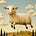 The Liberated Sheep