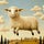 The Liberated Sheep