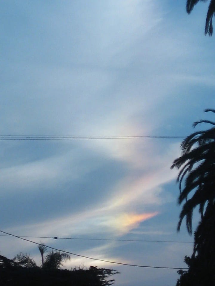 My interpretation of Denver Airport Art:  Masked warriors facilitate irradication of the human race via electromagnetic warfare under the banner of peace, as mothers cry for all etenity