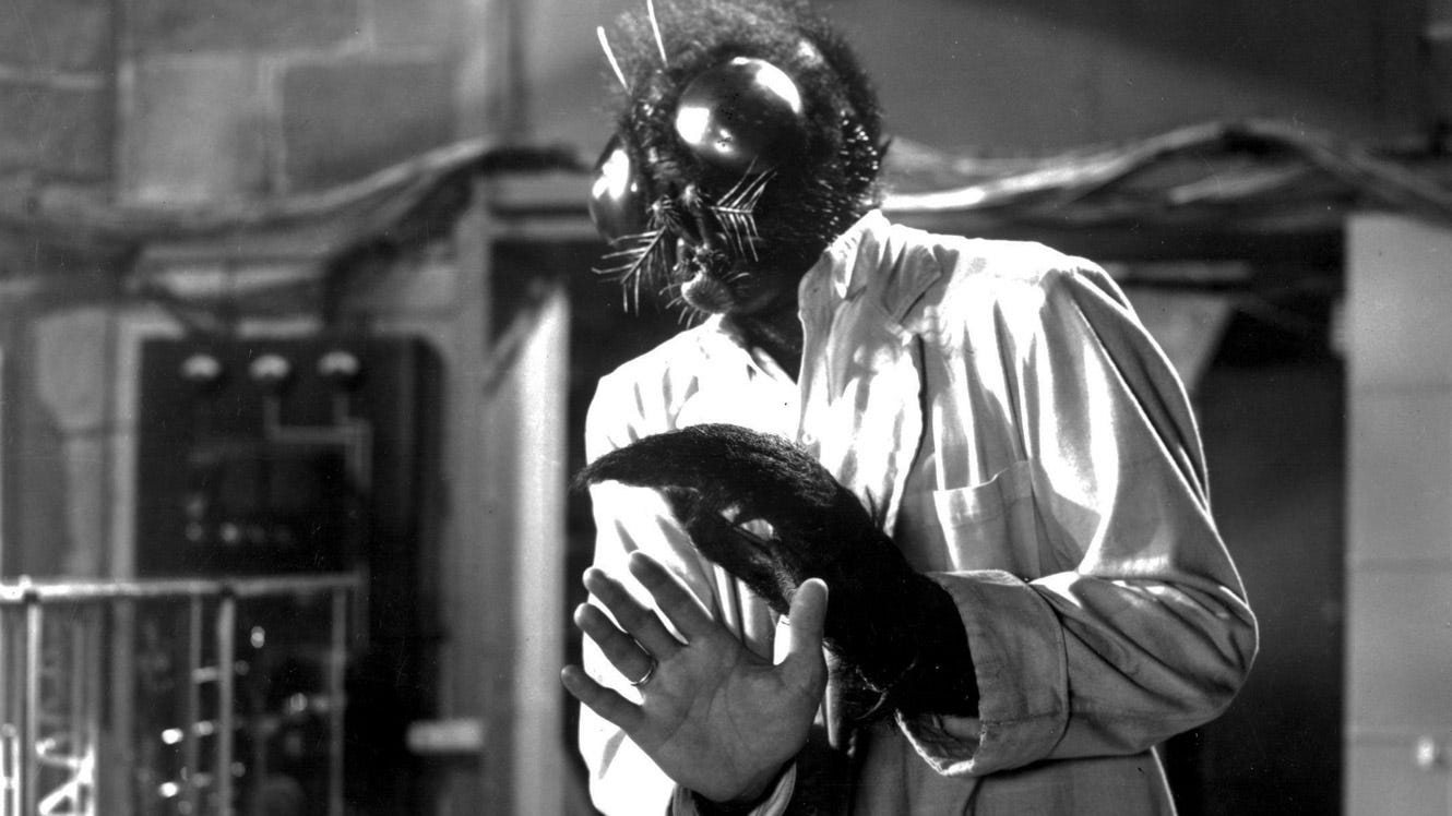 Review: The Fly (1958) | SGS On Film