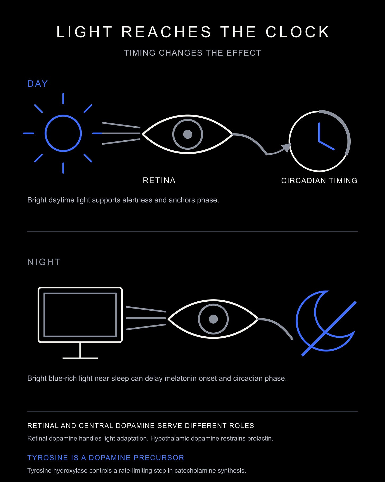Daytime retinal light and nighttime blue-rich light