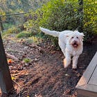 The Opposite of Doomscrolling #3