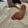 Guatemalan Sole Mates's avatar