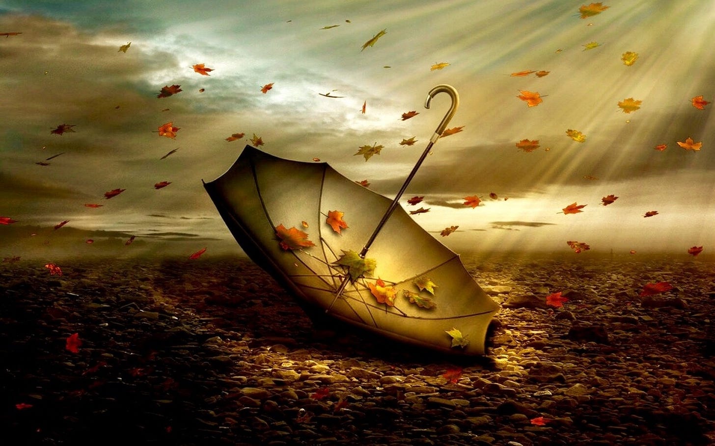 40+ Wind Papéis de Parede HD e Planos de Fundo